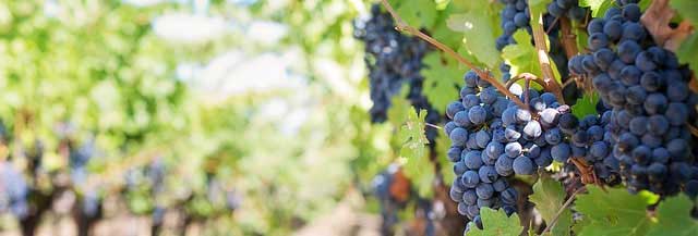 一秒发1000条电话的软件